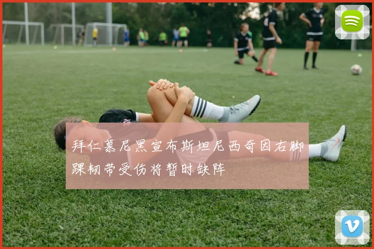 拜仁慕尼黑宣布斯坦尼西奇因右脚踝韧带受伤将暂时缺阵