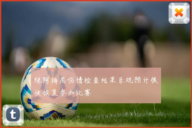 琼阿梅尼伤情检查结果乐观预计很快恢复参加比赛