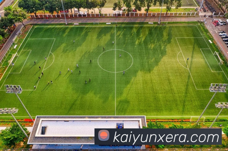 开云全站平台生态图